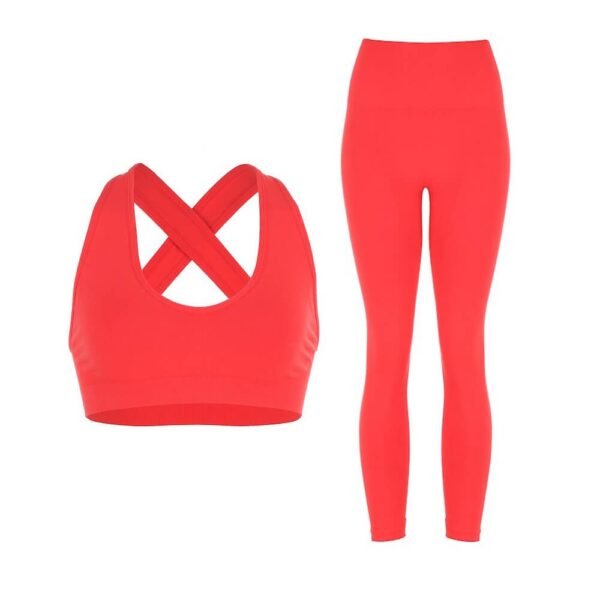 Women's Seamless Active Fitness Leggings Women's Seamless Active Fitness Leggings