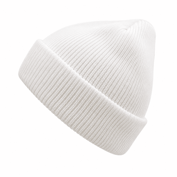 ChatGPT Image Aug 8, 2026, 12_12_22 PM Beanies