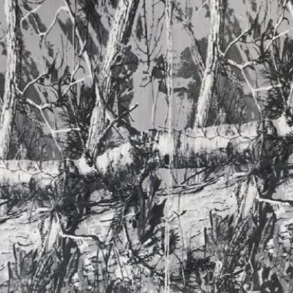 Camo & Animal Prints fabric swatch Realtree Camo P-06 – Pexton Apparel